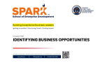 SPARK - Identifying Business Opportunities