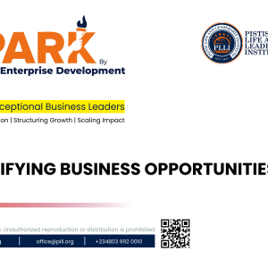 SPARK - Identifying Business Opportunities