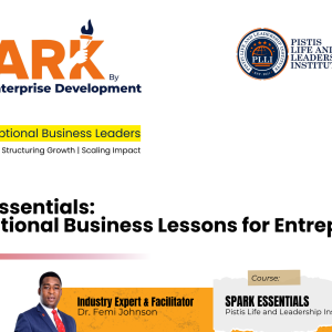 Spark Essentials: Foundational Business Lessons for Entrepreneurs